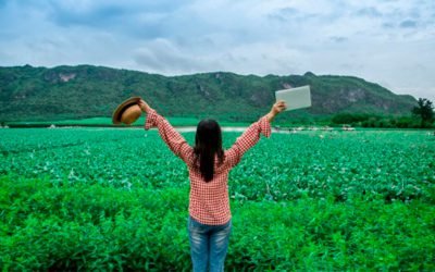 Mesmo com pandemia, agro deve crescer 7% em 2020