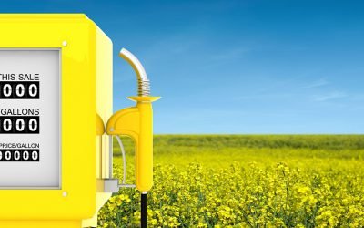 Brasil deve ampliar mistura de biodiesel até 2023