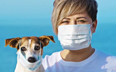 Setor Pet deve redobrar cuidados com coronavírus